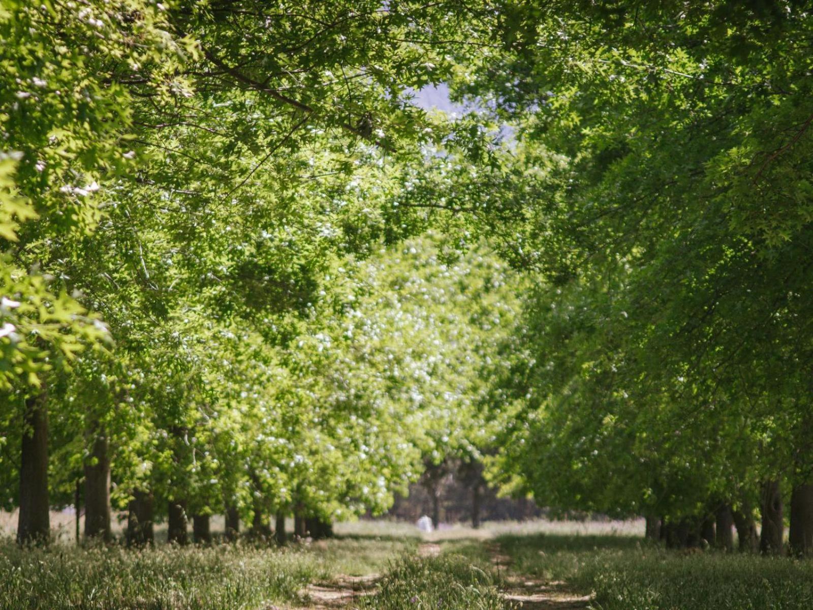 Duikersdrift Winelands Country Escape Hotel Tulbagh Bagian luar foto