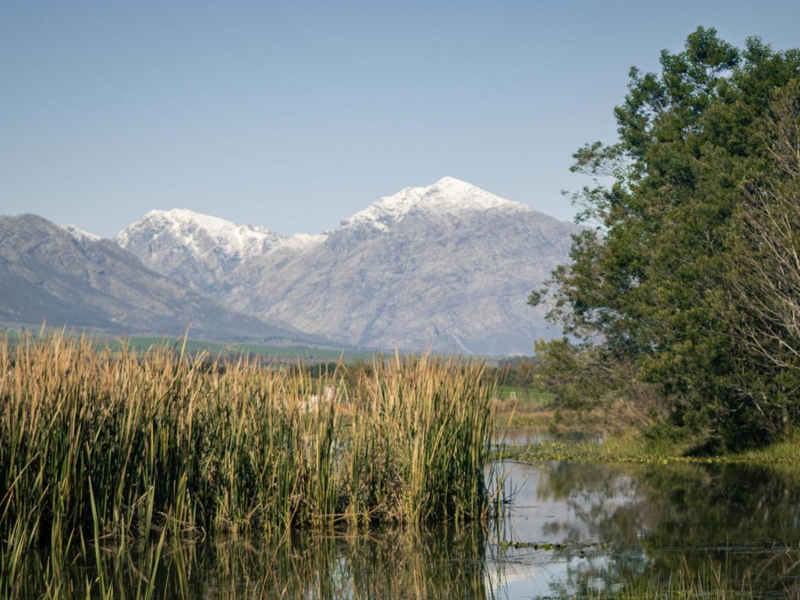 Duikersdrift Winelands Country Escape Hotel Tulbagh Bagian luar foto