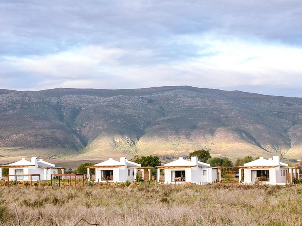 Duikersdrift Winelands Country Escape Hotel Tulbagh Bagian luar foto