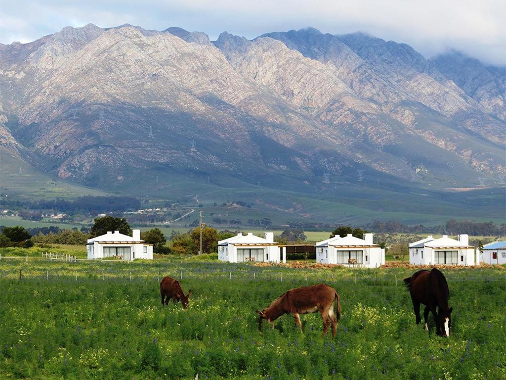 Duikersdrift Winelands Country Escape Hotel Tulbagh Bagian luar foto